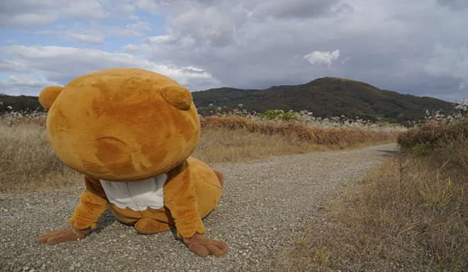 비내섬