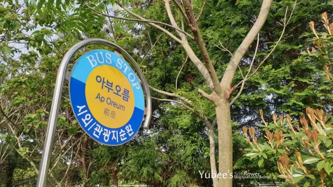 아부오름 버스정류장