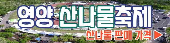 영양 산나물축제 산나물 판매 가격_1