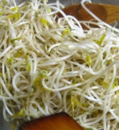 숙주나물의 효능 부작용 요리 고르는법