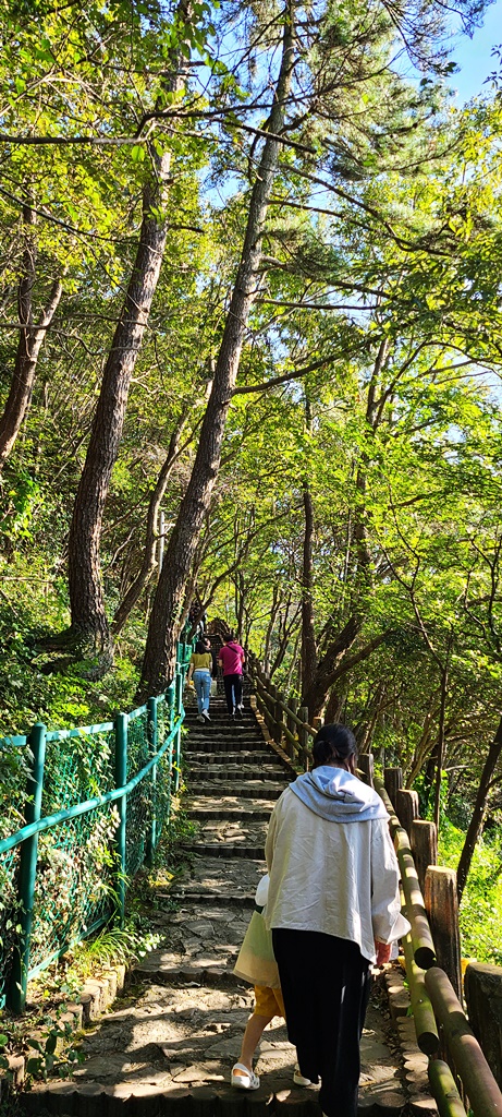 땅끝모노레일-전망대