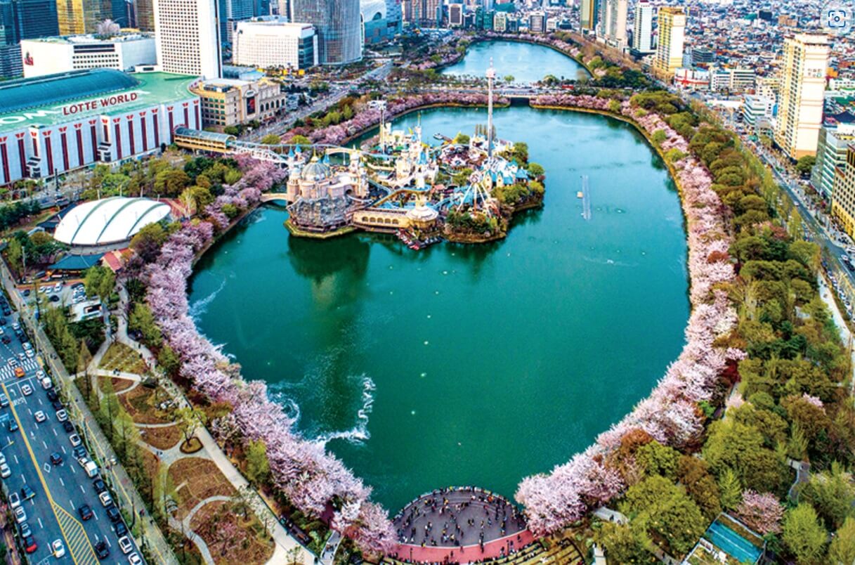 석촌호수 벚꽃 축제