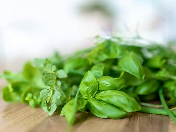루테인이 풍부한 바질