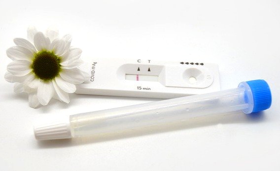코로나 검사