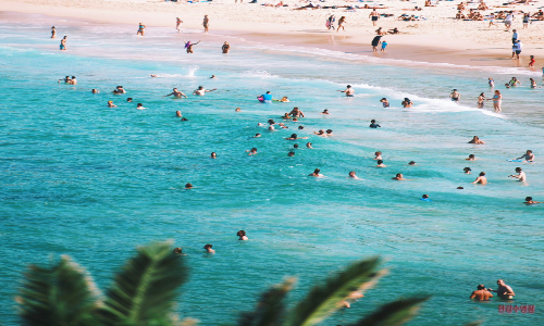 한강수영장 개장5