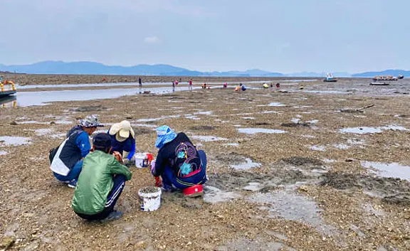 왕산어촌체험휴양마을