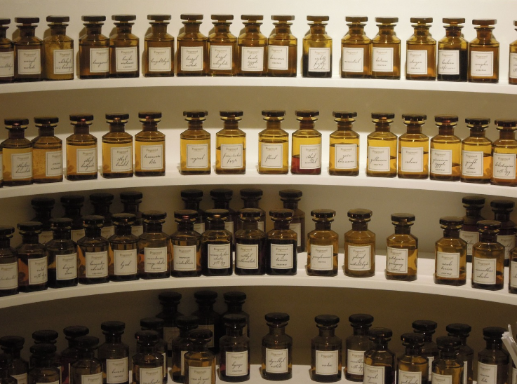 향수 입문자를 위한 용어 : 향조 (family)