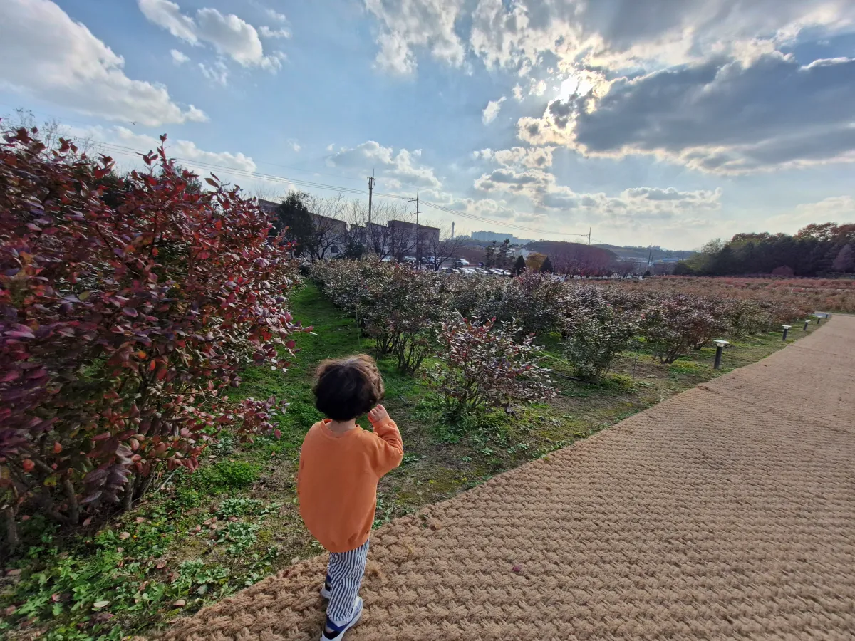 블루베리-농장을-구경하는-아이