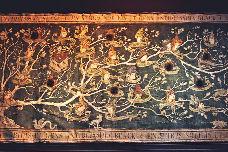 블랙가문 가계도 불사조의 기사단 영화에서