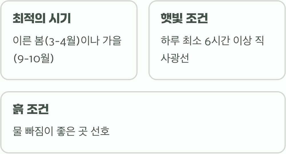 첫 만남, 심는 시기와 자리 잡기