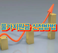 전국민 물가지원금