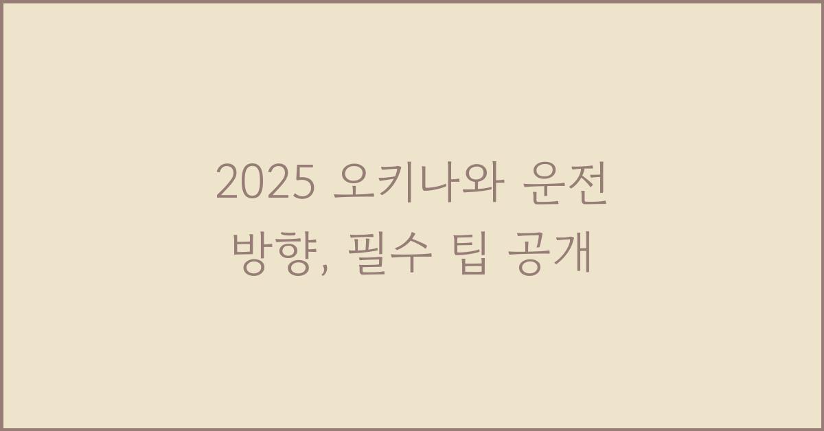 2025 오키나와 운전 방향