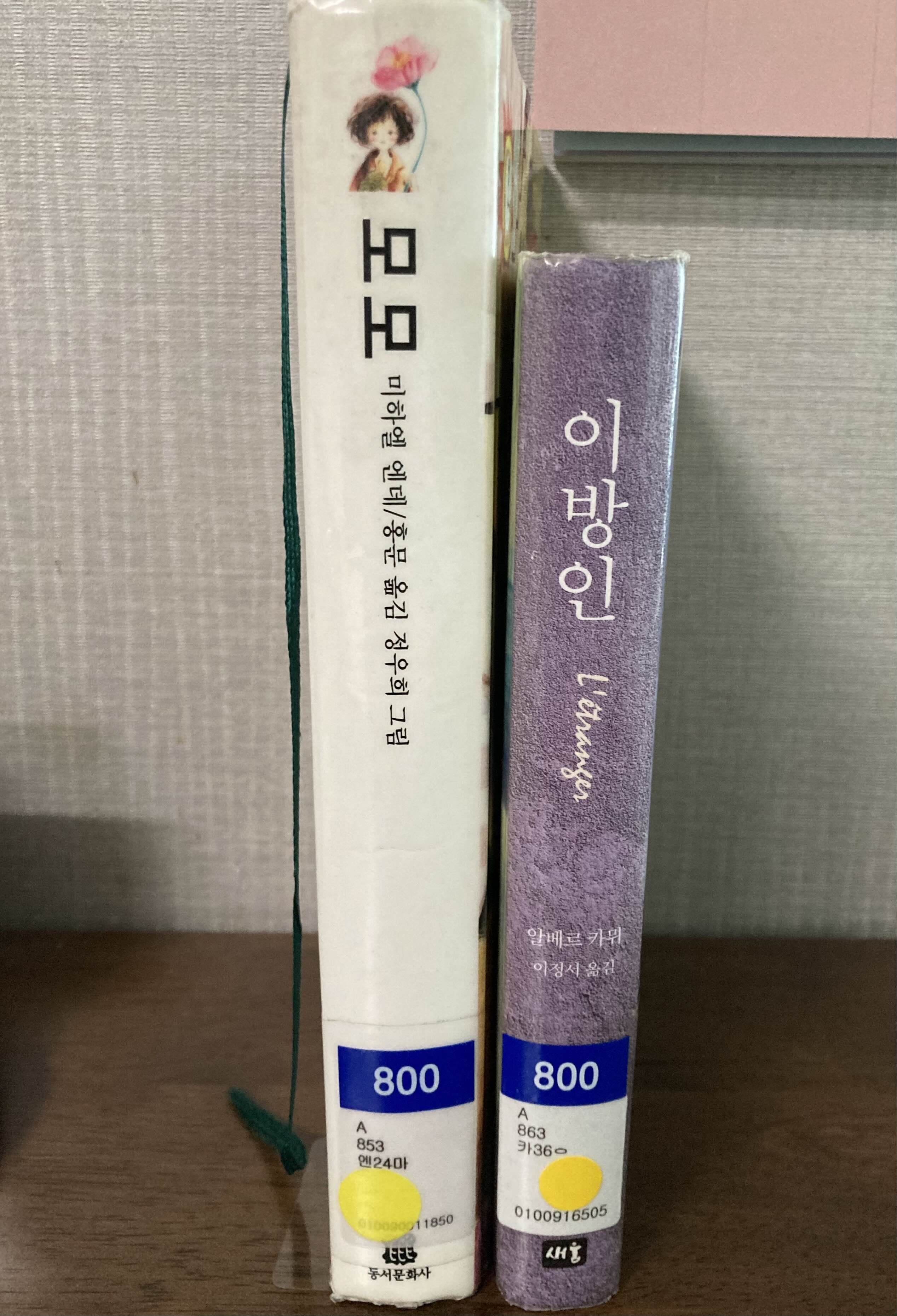 도서관에서 빌려온 책_모모, 이방인