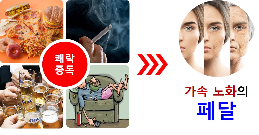 안티에이징생활