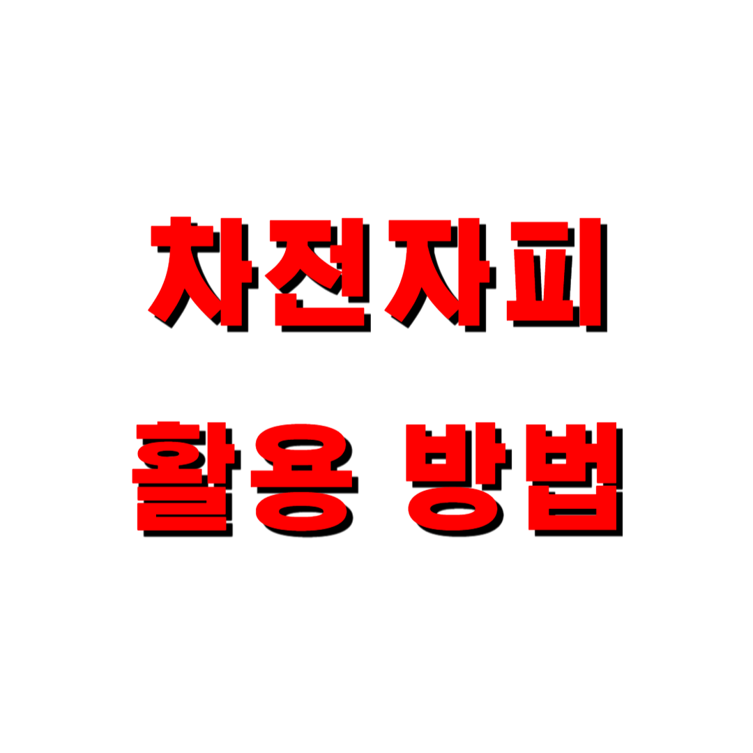 차전자피 활용 방법