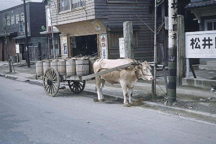 수소차 관련 5대장 주
