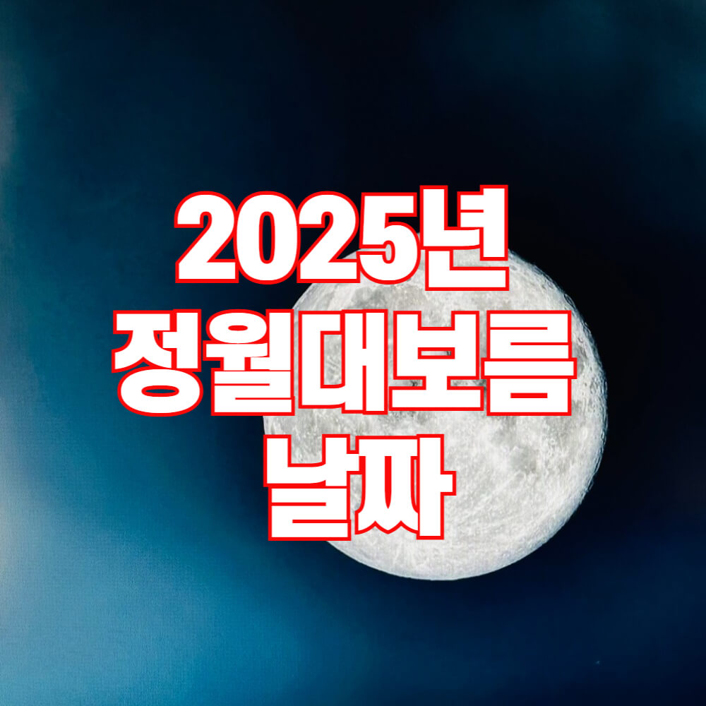 정월대보름 2025: 달뜨는 시간, 행사, 그리고 부럼 정보 총정리