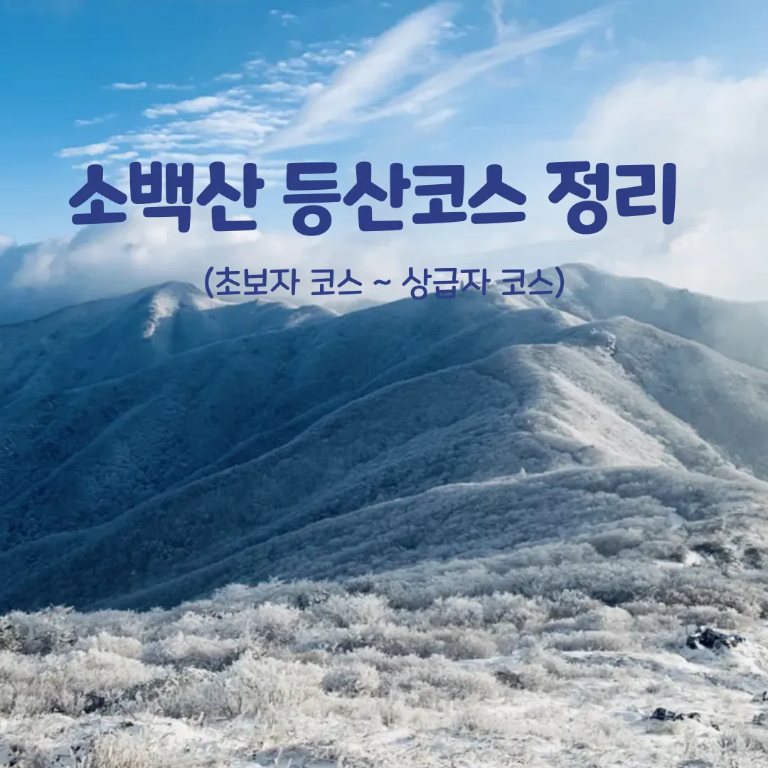 소백산 등산코스 죽령 연화봉 비로봉 어의곡 종주 완벽 가이드_1