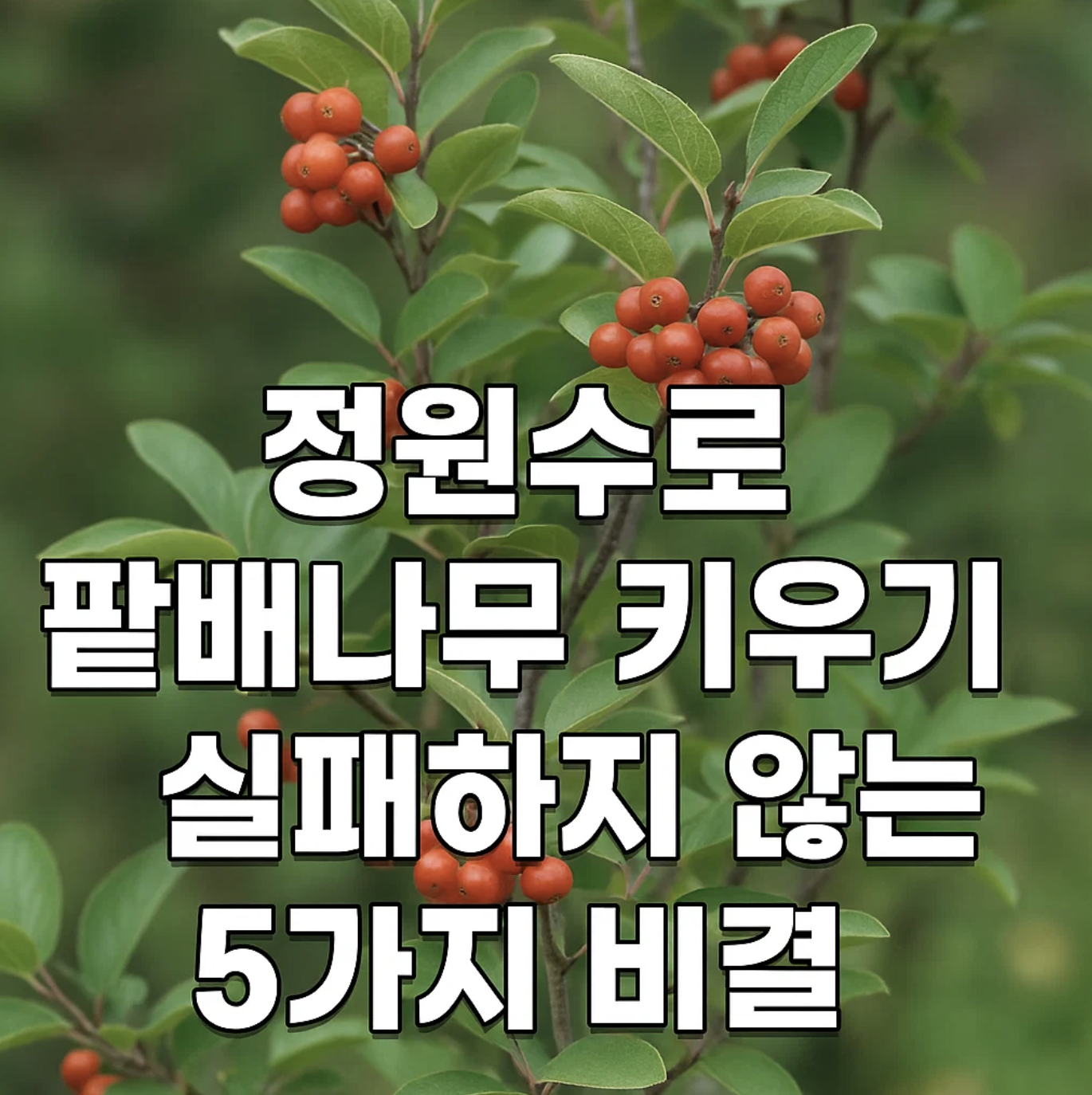 정원수로 팥배나무 키우기, 실패하지 않는 5가지 비결
