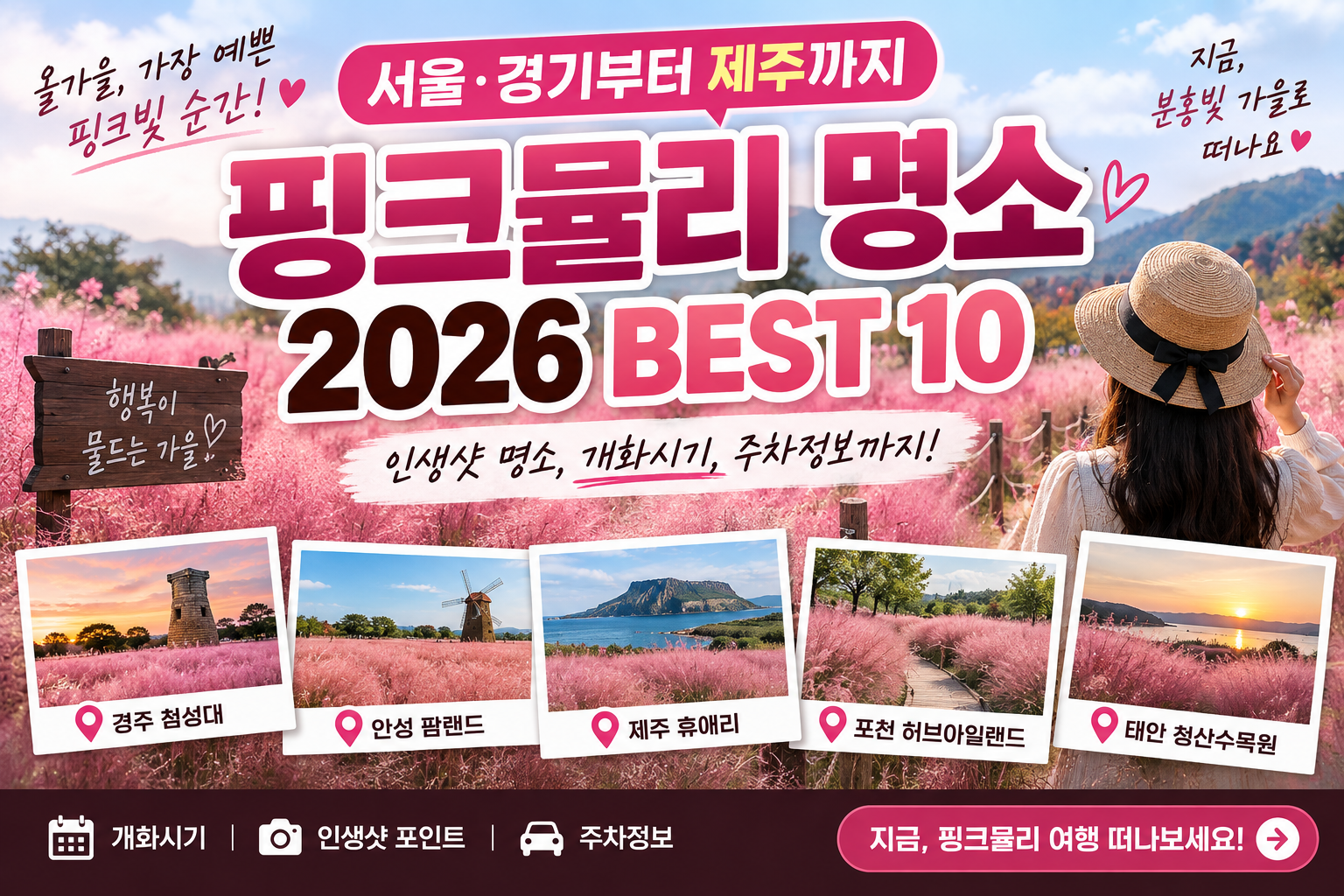 핑크뮬리 명소 2026