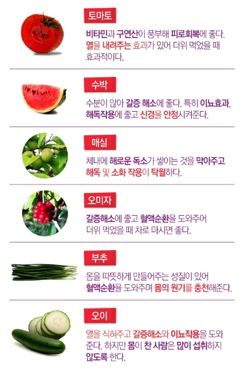 더위먹었을때 증상 좋은음식 자가진단 일사병 열사병 더위 먹은 증상