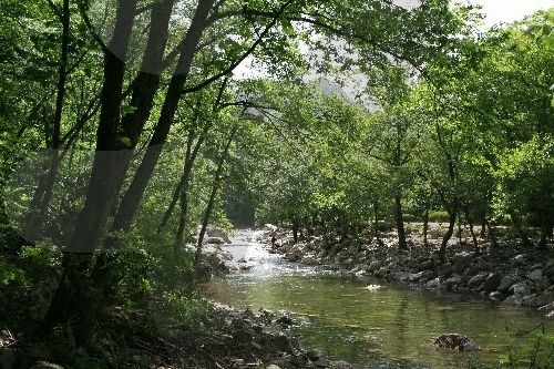 양평설매재자연휴양림