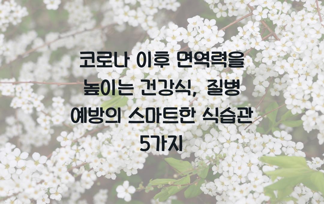 코로나 이후 면역력을 높이는 건강식, 질병 예방을 위한 식습관
