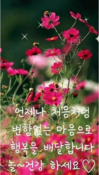 건강 인사말 모음 예시 멘트_10