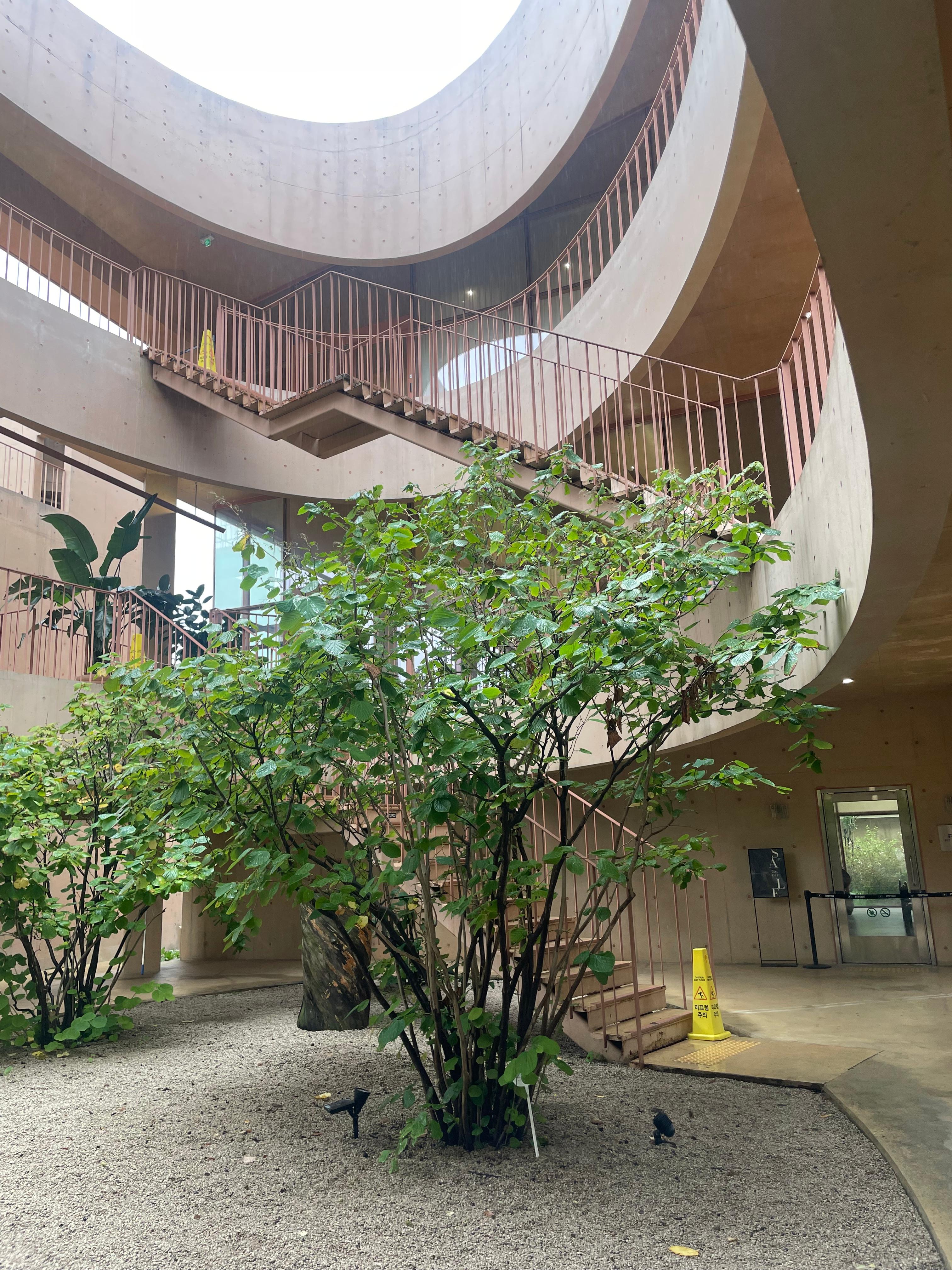 팔공산 대형카페 파이퍼 베이커리