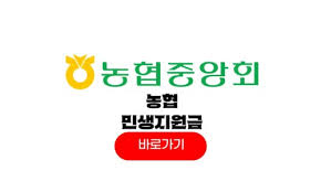 민생소비쿠폰농협체크카드11