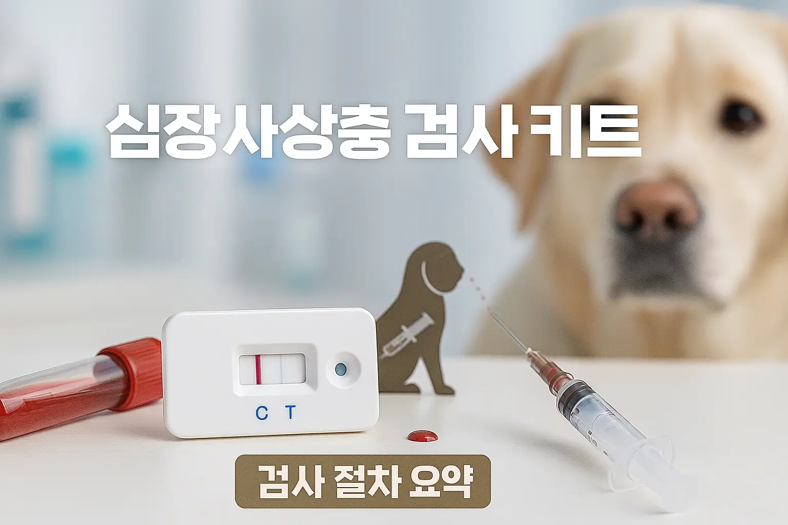 심장사상충 검사 키트와 혈액 샘플