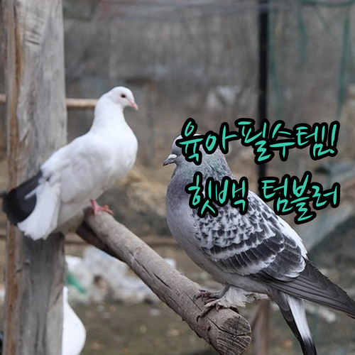 육아 외출 필수템 블루필 힛백 가열 ..
