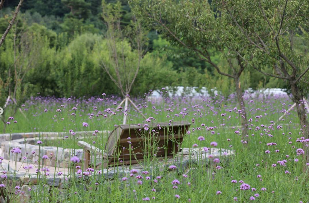 백두대간 봉자페스티벌 