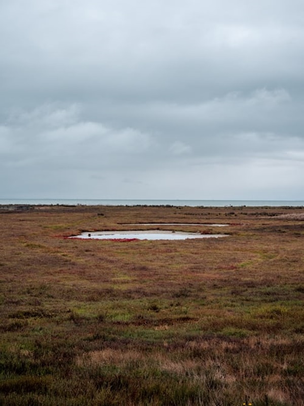 계획관리지역 이란