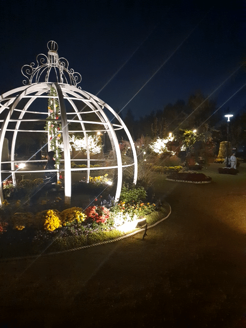 유림공원 국화축제