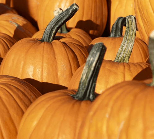 위에 좋은 음식