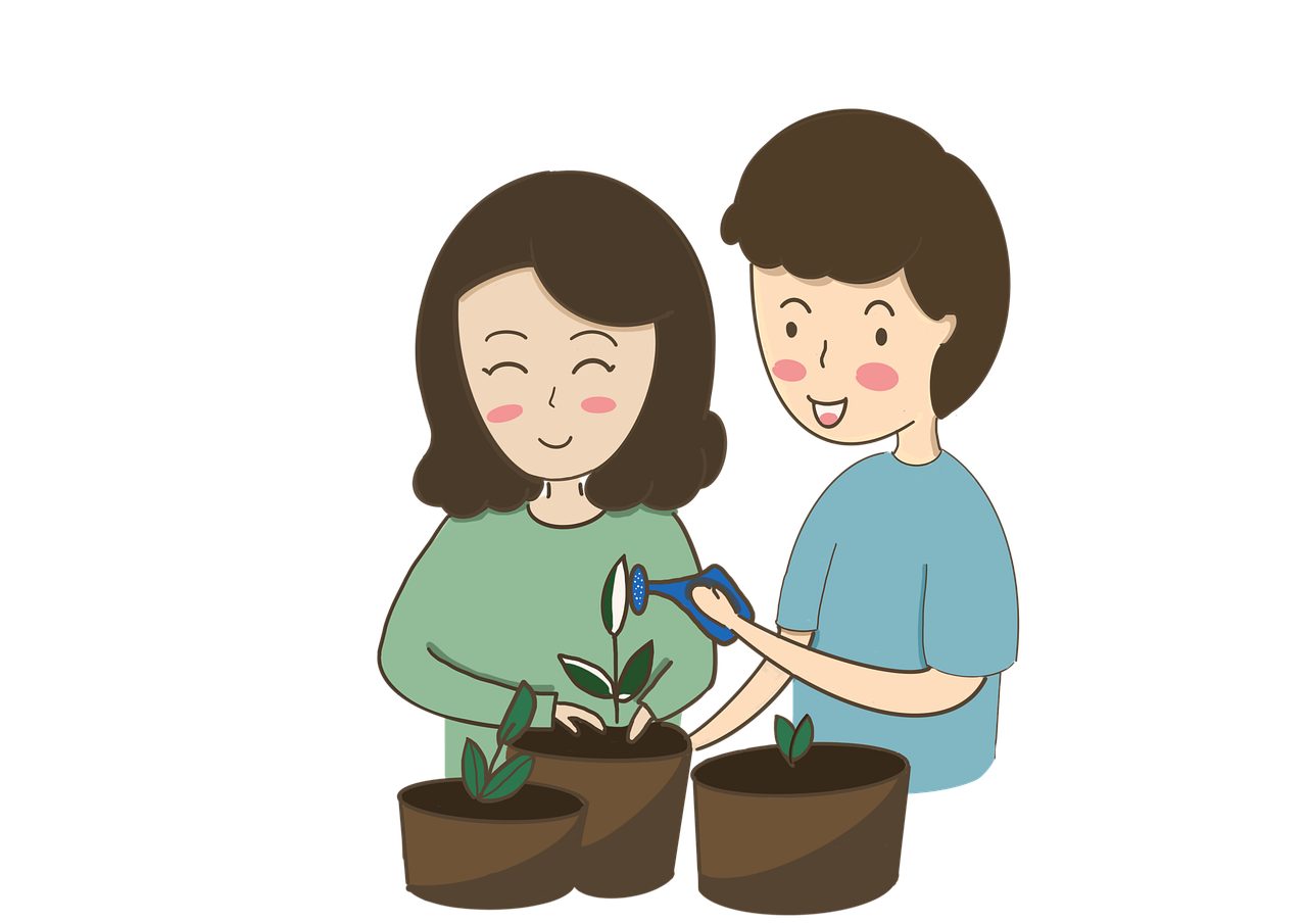 식물의 품종 관련 사진