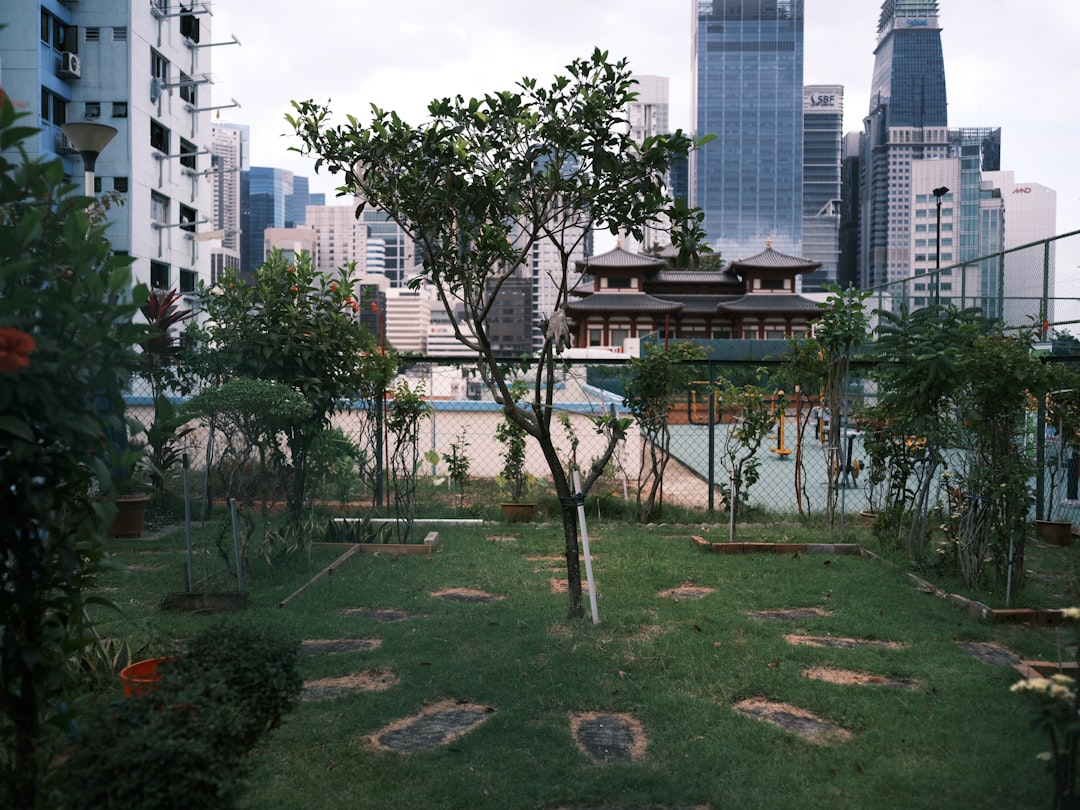 Urban farming.