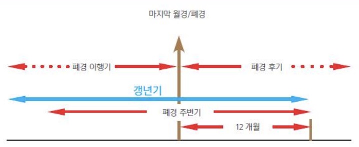 갱년기, 갱년기약,호르몬,갱년기증상,갱년기치료