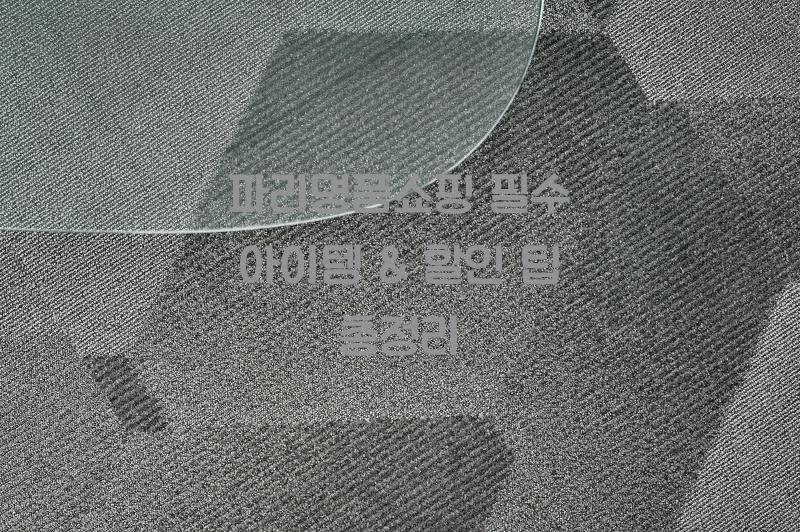 파리명품쇼핑