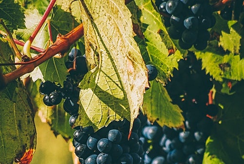 9. 바이러스 예방