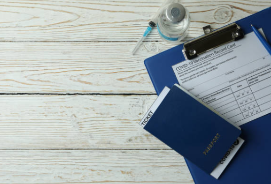 주민등록-사실조사