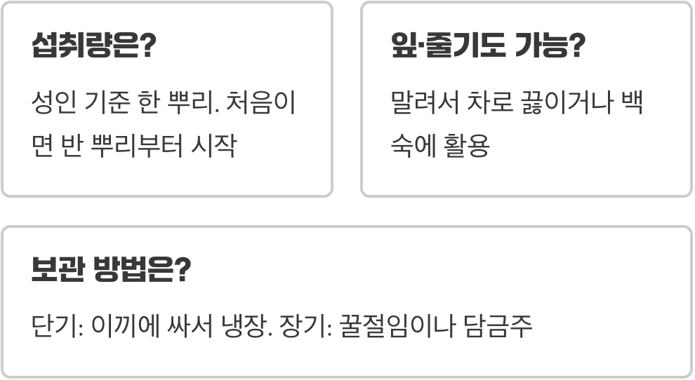 모르고 먹으면 독, 장뇌삼먹는법 제대로 알고 드세요 (부작용, 주의사항)