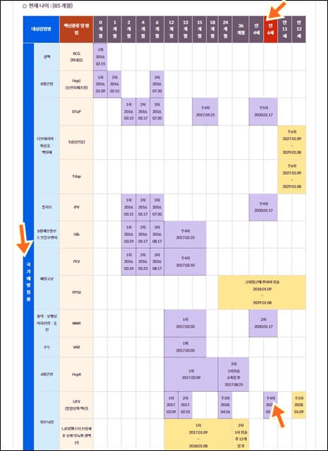 예방접종 내역 표
