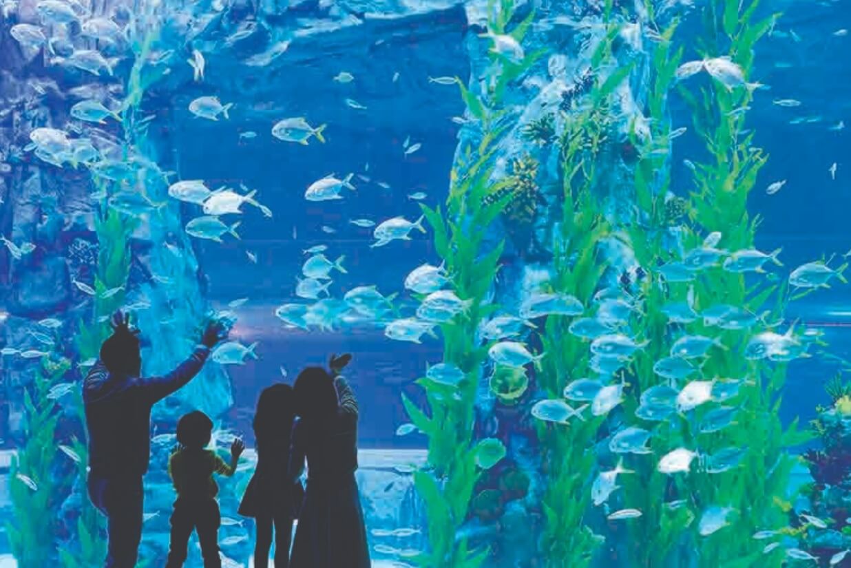 비오는날 가기좋은 곳-롯데월드 아쿠아리움