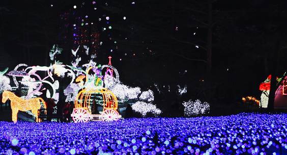 아침고요수목원 수국전시회&amp;#44; 6월 방문객이 몰리는 진짜 이유 3가지