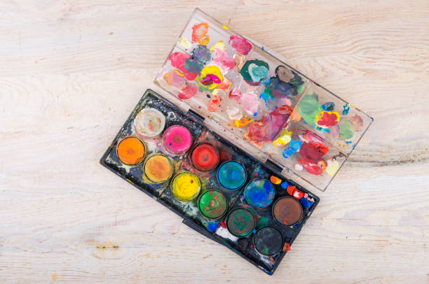 정서적 회복탄력성, 어떻게 길러질까? 확장과 수립 이론으로 보는 감정 회복력