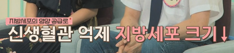 락토페린 효능