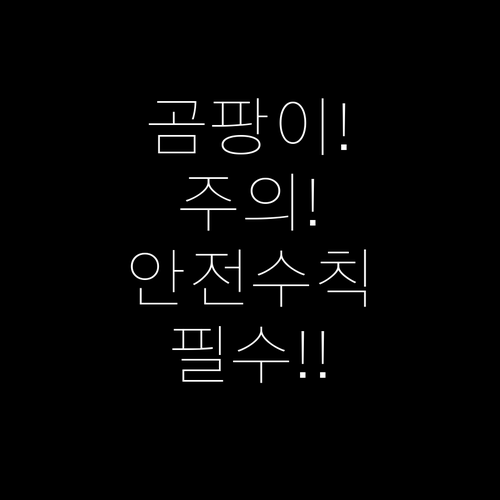 집 곰팡이 제거시 반드시 지켜야 할 ..
