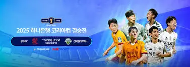 2025-코리아컵-결승전